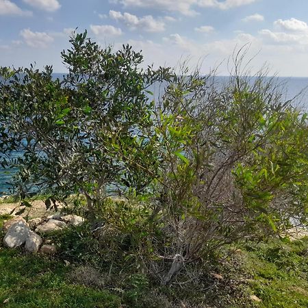 Marias Villa بروتاراس المظهر الخارجي الصورة